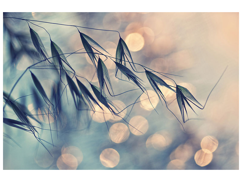 panoramic-canvas-print-straws