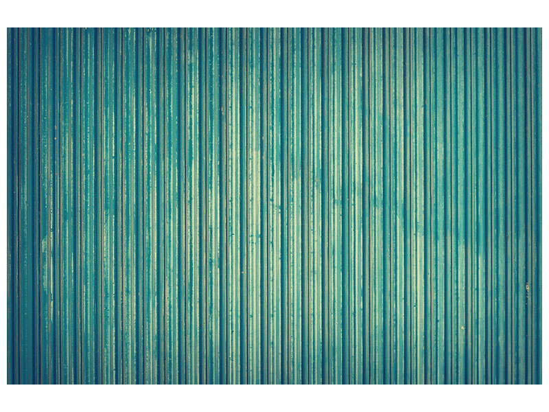 4-piece-canvas-print-strip-of-nature