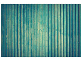 modern-4-piece-canvas-print-strip-of-nature