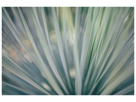 4-piece-canvas-print-strip-of-plant