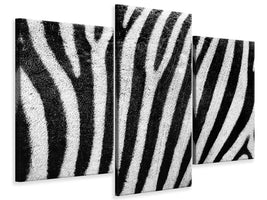 3-piece-canvas-print-strip-of-the-zebra