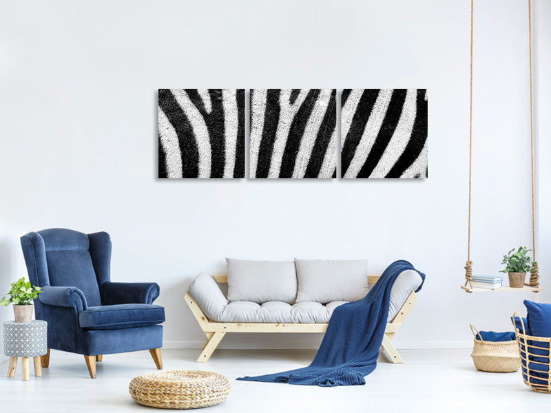 3-piece-canvas-print-strip-of-the-zebra
