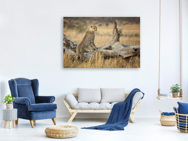 3-piece-canvas-print-strong