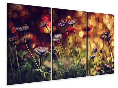 modern-3-piece-canvas-print-summer-flowers