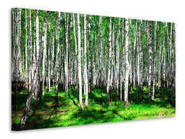 modern-3-piece-canvas-print-summerly-birch-forest