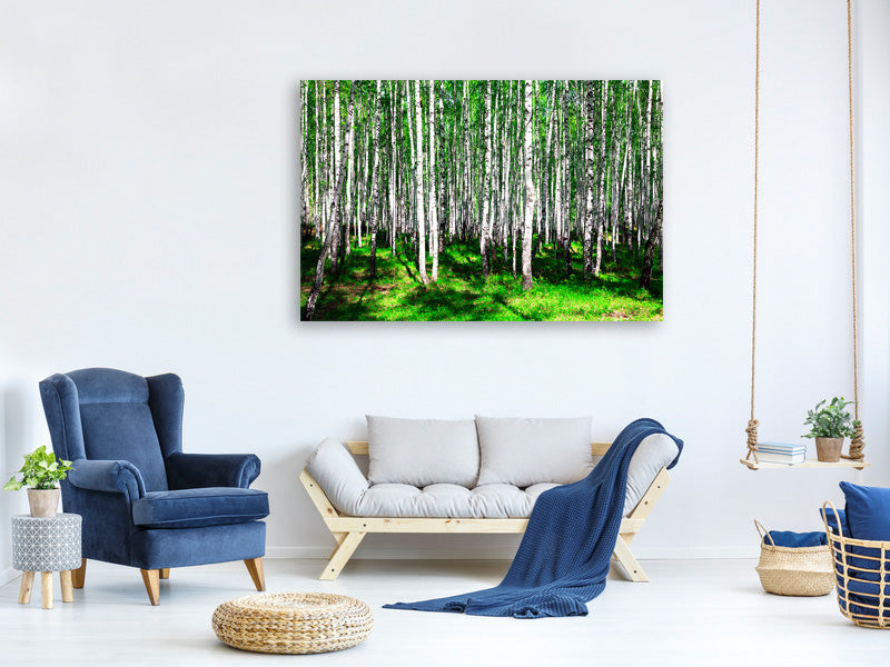 modern-3-piece-canvas-print-summerly-birch-forest