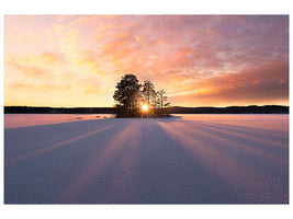5-piece-canvas-print-sun-kissed