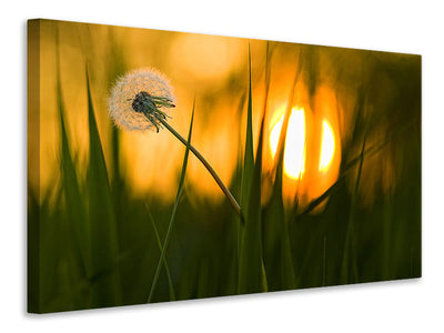 3-piece-canvas-print-sunbathing