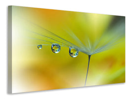 panoramic-3-piece-canvas-print-sunbeam-iii