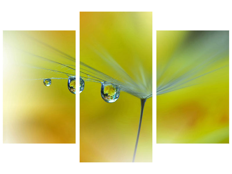 canvas-print-sunbeam-iii