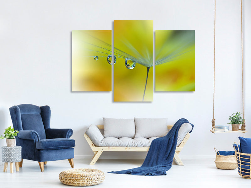 panoramic-canvas-print-sunbeam-iii