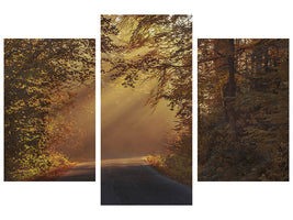 3-piece-canvas-print-sunbeams-in-the-forest