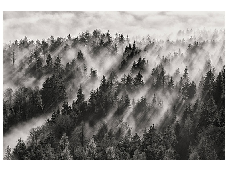 modern-4-piece-canvas-print-sundance-no-i