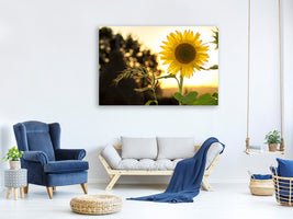 modern-4-piece-canvas-print-sunflower-in-the-sunrise