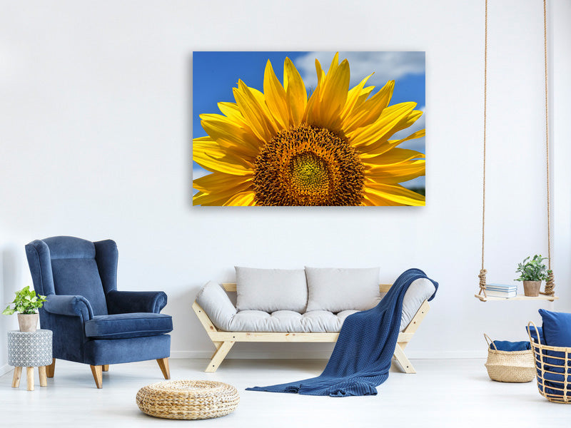 3-piece-canvas-print-sunflower-in-xxl