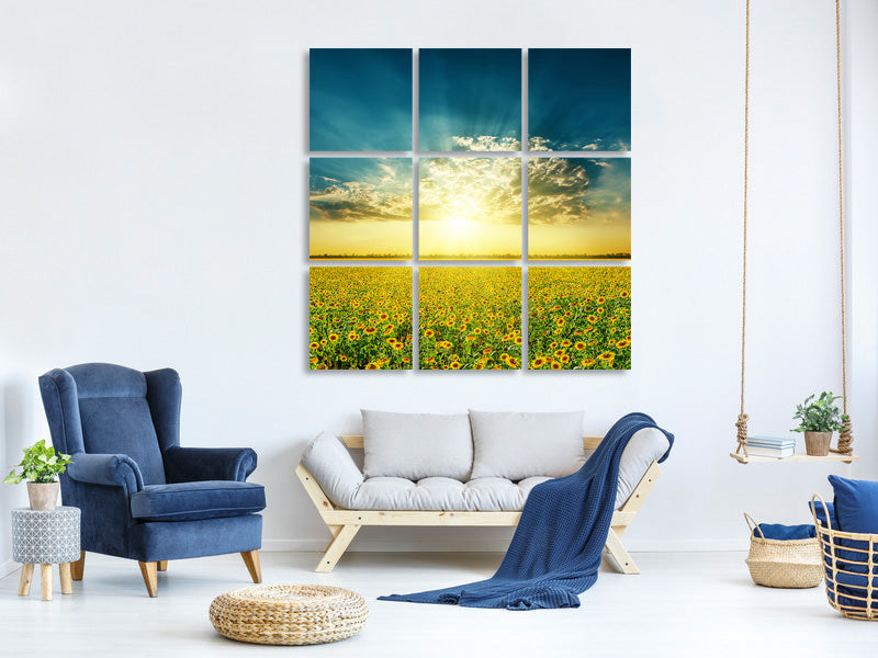 canvas-print-sunflowers-in-the-evening-sun