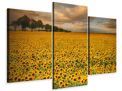 3-piece-canvas-print-sunflowers