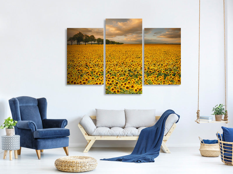 5-piece-canvas-print-sunflowers