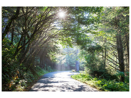 3-piece-canvas-print-sunny-forest-path