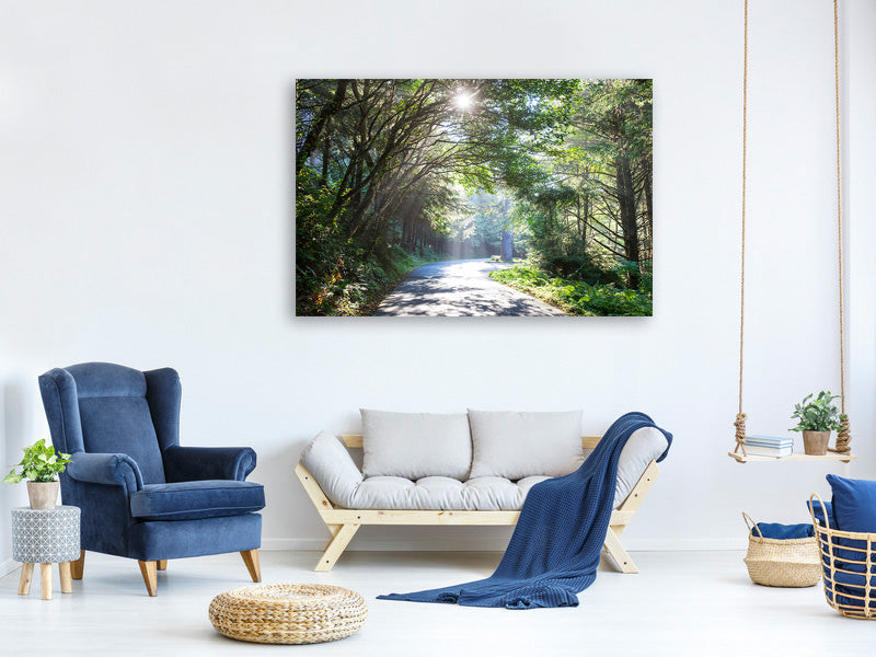 3-piece-canvas-print-sunny-forest-path