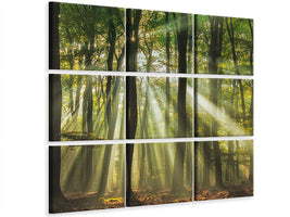 canvas-print-sunny-start-to-the-day