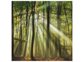 9-piece-canvas-print-sunny-start-to-the-day