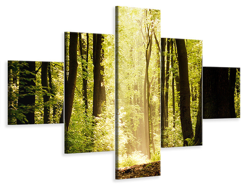 4-piece-canvas-print-sunrise-in-the-forest