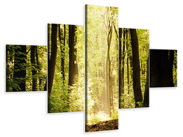 3-piece-canvas-print-sunrise-in-the-forest