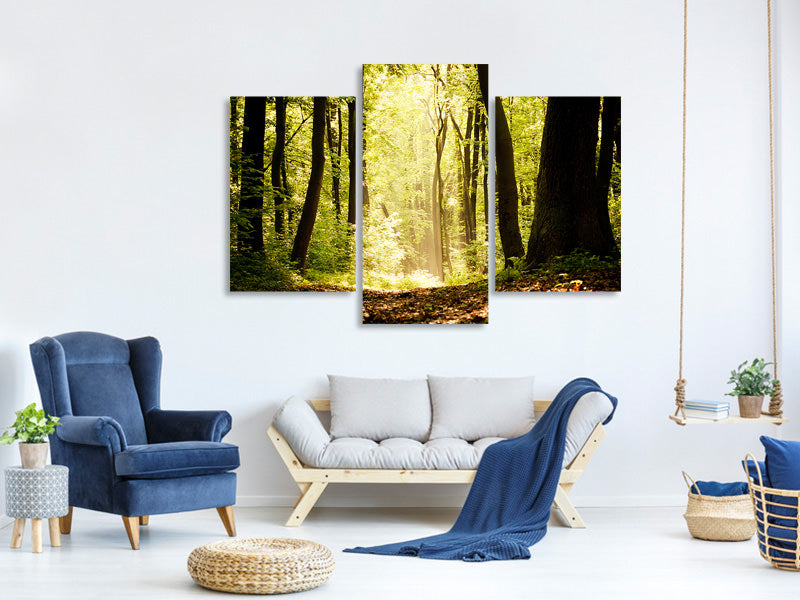 3-piece-canvas-print-sunrise-in-the-forest
