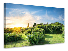 panoramic-3-piece-canvas-print-sunrise-in-the-park