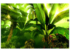 panoramic-canvas-print-sunrise-in-the-rainforest
