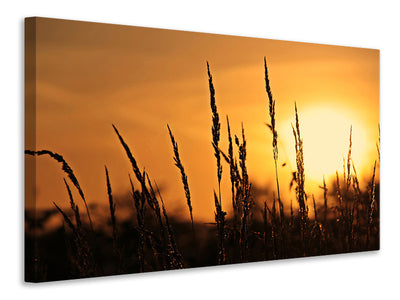 panoramic-3-piece-canvas-print-sunrise-on-the-field