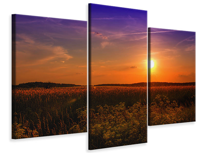 modern-4-piece-canvas-print-sunset-at-the-flower-field