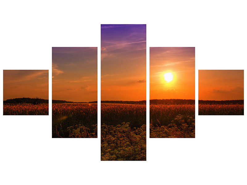 panoramic-canvas-print-sunset-at-the-flower-field