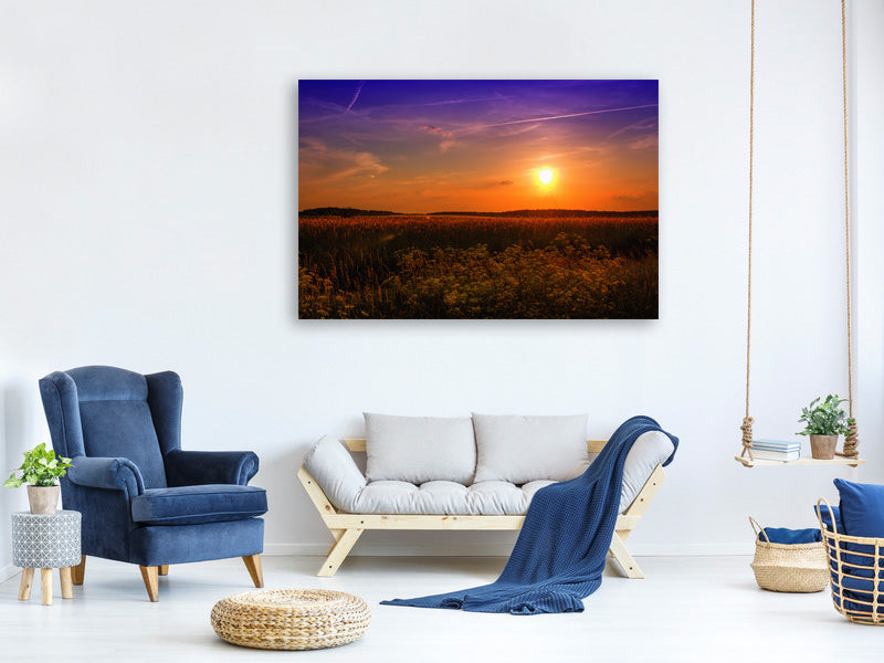 5-piece-canvas-print-sunset-at-the-flower-field