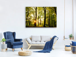 5-piece-canvas-print-sunset-between-trees