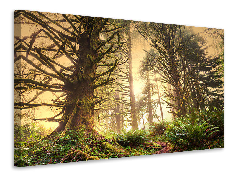 4-piece-canvas-print-sunset-in-jungle