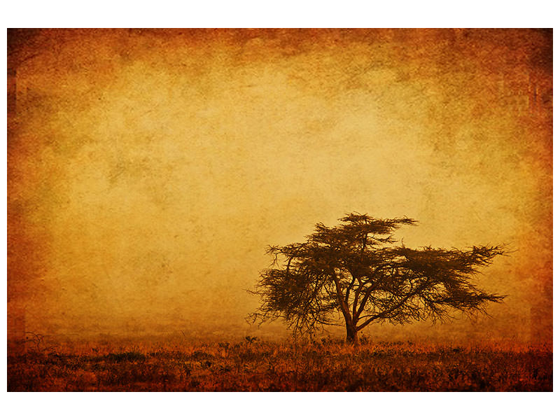 3-piece-canvas-print-sunset-mood
