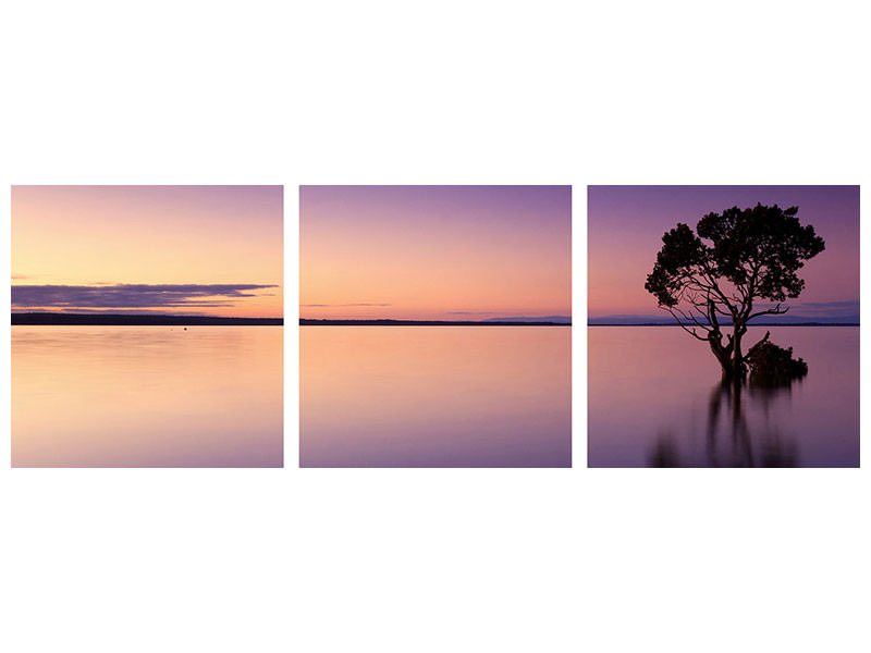 canvas-print-sunset-on-the-tree-in-the-water