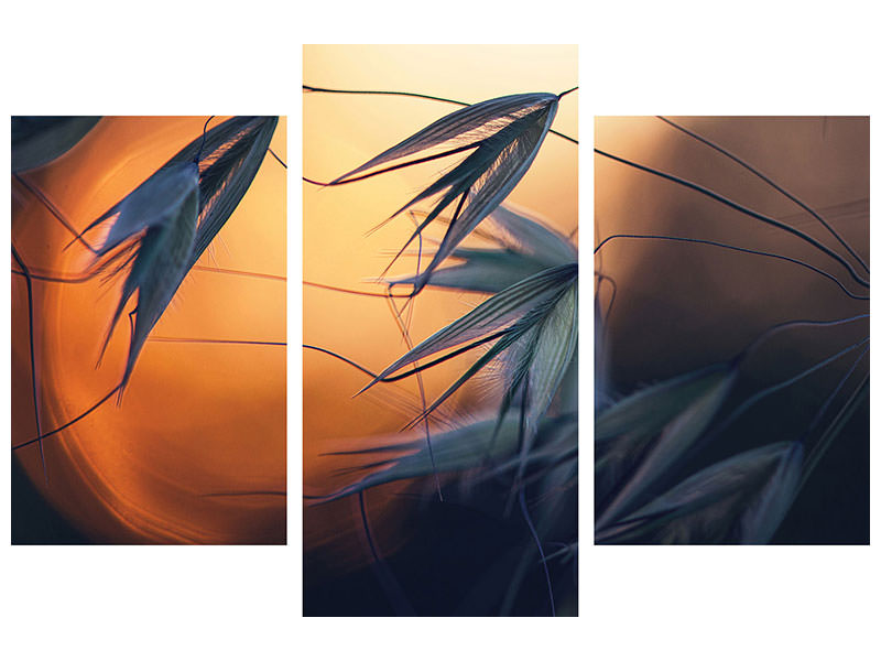 3-piece-canvas-print-sunset-p