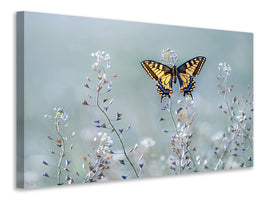 5-piece-canvas-print-swallowtail-beauty