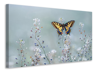 5-piece-canvas-print-swallowtail-beauty