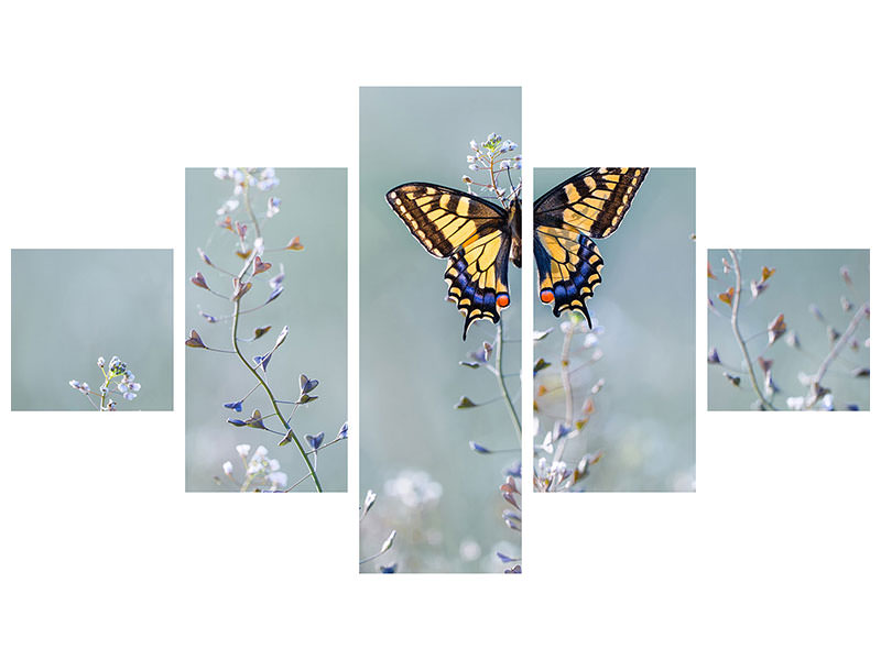 modern-3-piece-canvas-print-swallowtail-beauty