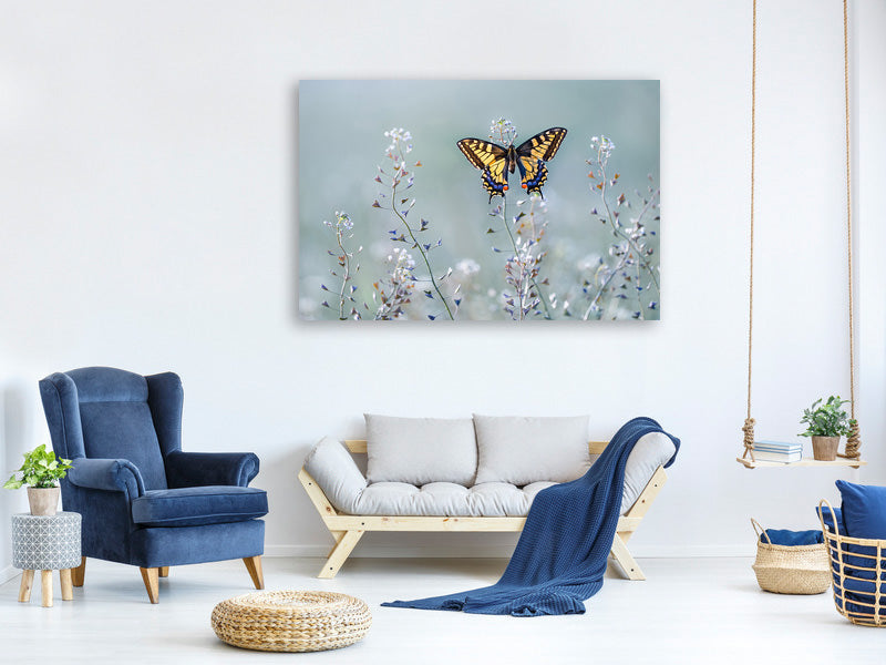 modern-4-piece-canvas-print-swallowtail-beauty