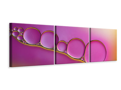 panoramic-canvas-print-sweet-blush