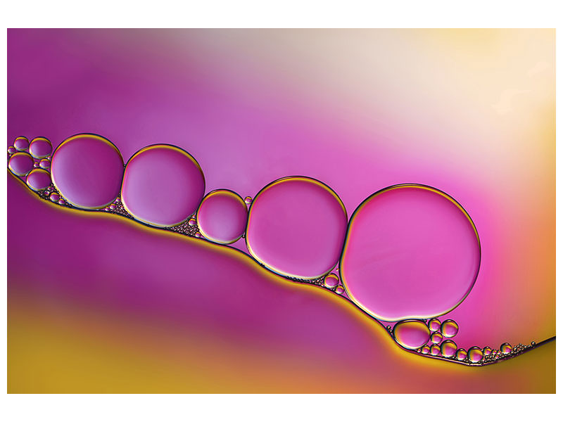 panoramic-canvas-print-sweet-blush