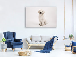 3-piece-canvas-print-sweet-golden-retriever-puppy