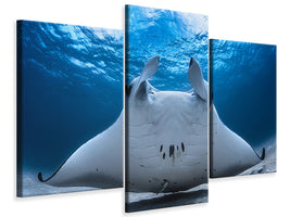 modern-4-piece-canvas-print-take-off-manta-airline