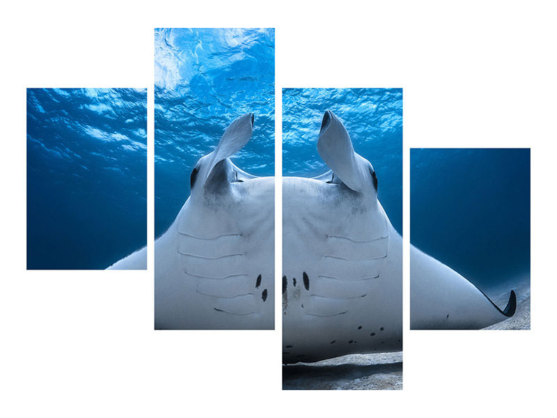 4-piece-canvas-print-take-off-manta-airline