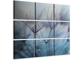 canvas-print-teardrops
